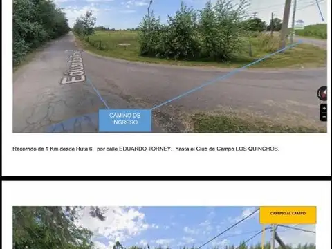 50 Has en Pilar