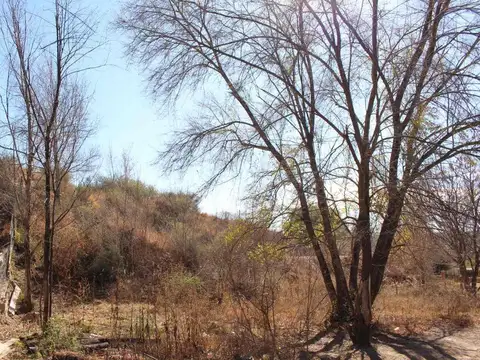 Terreno en Venta de 847,0 m2