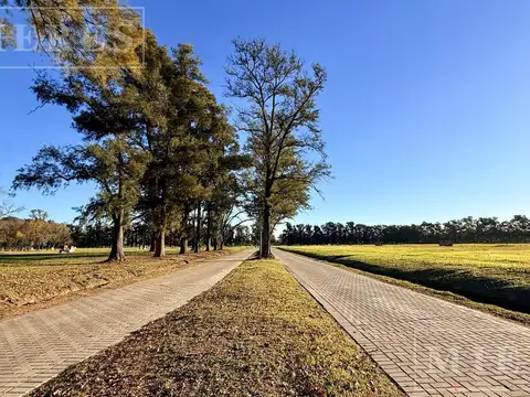 Lote de 823m² en venta en Almahue