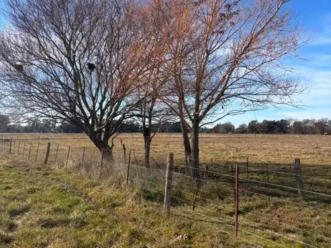 Venta Campo 5 hectáreas Croto Tapalque