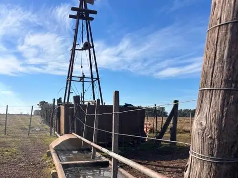 Venta Campo 5 hectáreas Croto Tapalque