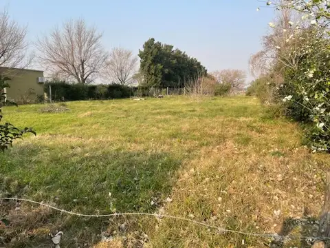 La Calandria 500