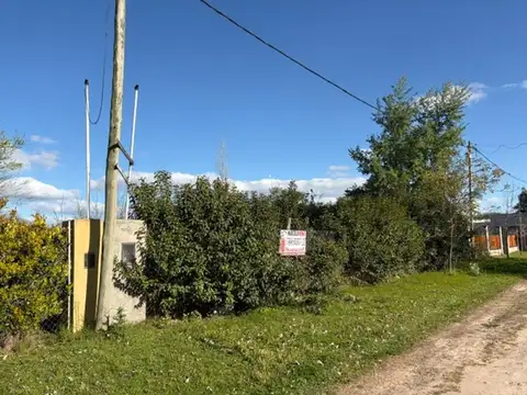 La Calandria 500