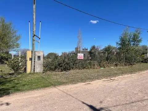 La Calandria 500