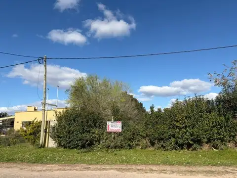 Terreno en Venta de 1077,0 m2