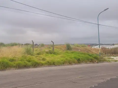 Terreno Vertiz Y Einstein