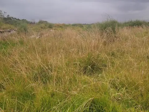 Venta Terreno Mar de Plata Zona Puerto