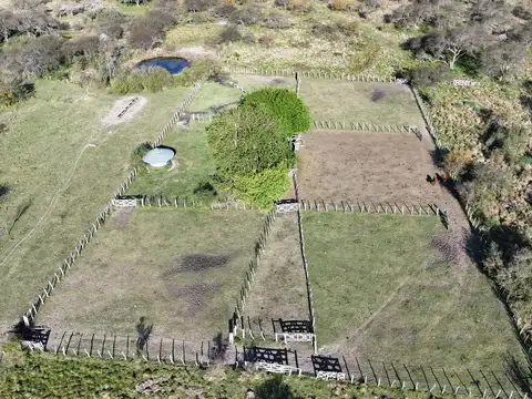 Campo mixto