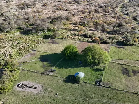 Campo mixto