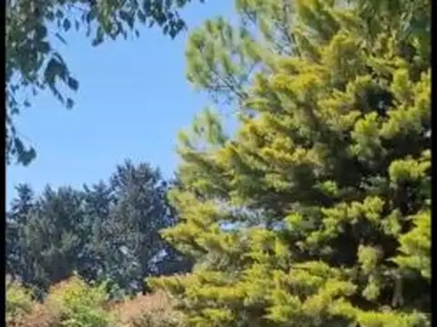 Terreno en Venta de 1000,0 m2