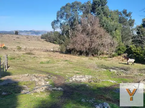 Terreno en venta - 1.600Mts2 - Tandil