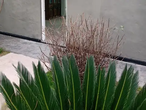 Quinta en Venta en Paso Del Rey, USD 95.000