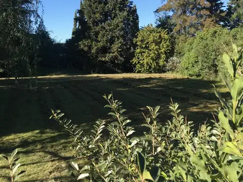 Terreno en Venta 40,91  mts Fondo