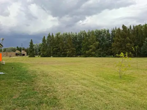 Casa en Alquiler 5 años