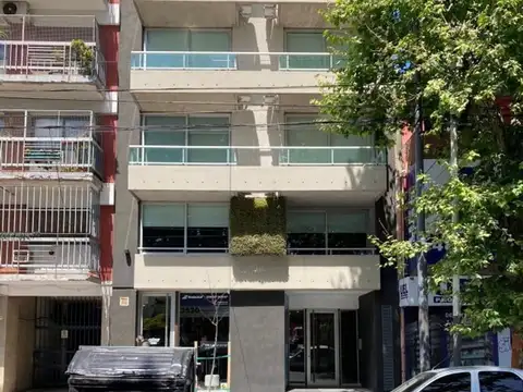 muy amplio y luminoso apto Profesional