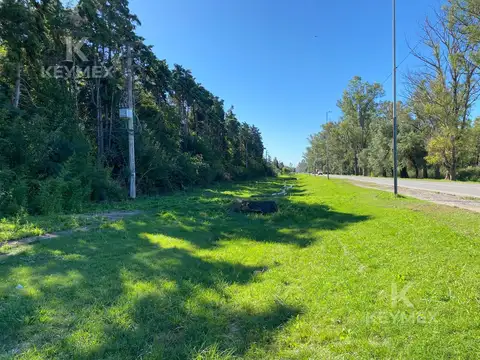 Ruta 28 - Av José Dalco Domenech