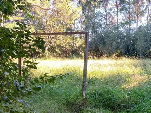 Terreno en Venta de 20000,0 m2