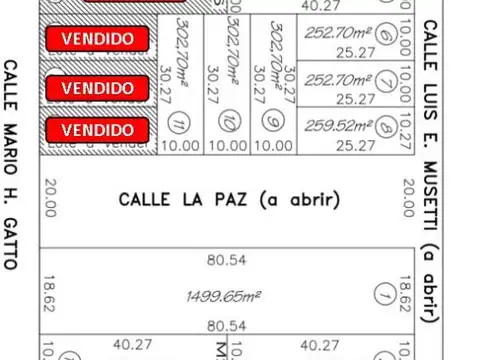 Loteo en Federación y Mario Gatto