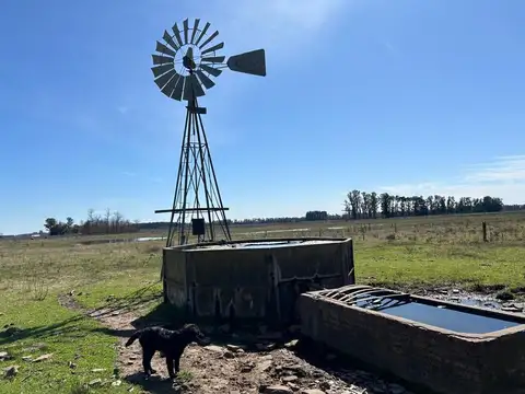 VENTA CAMPO 23,5 ha. - San Andrés de Giles Bs As