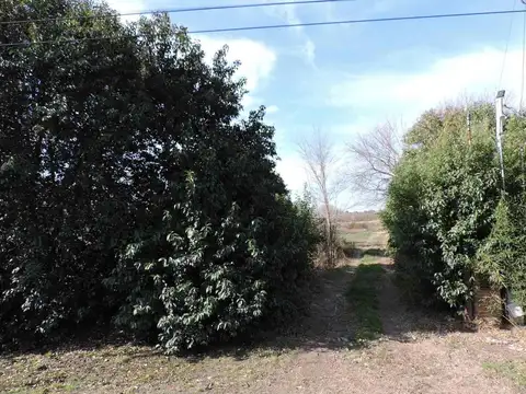 RUTA PROVINCIAL C 45 100