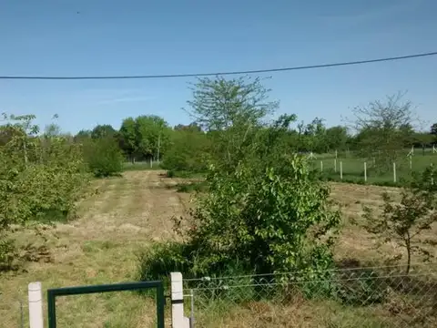 141 e/ 415 y 417
