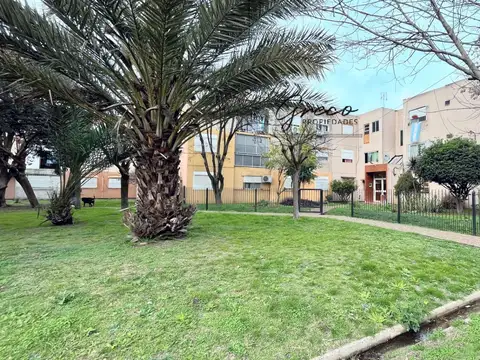 Rio Diamante Mz 11 Planta Baja