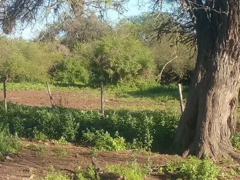 PBCO SN LOTE 7C