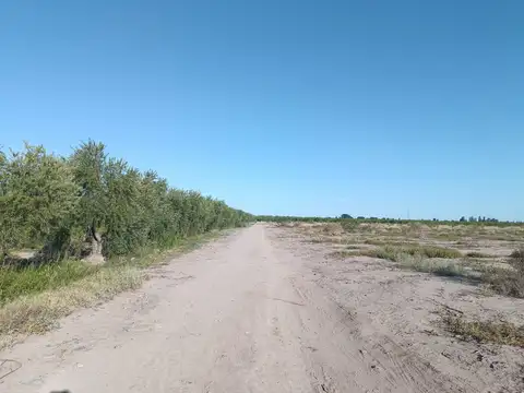 Terreno en Venta en Coquimbito, USD 750.000