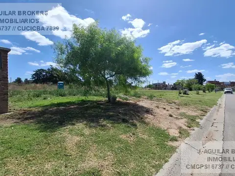 Lote Village Joven