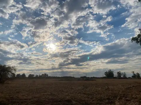 Terreno en Venta de 800,0 m2