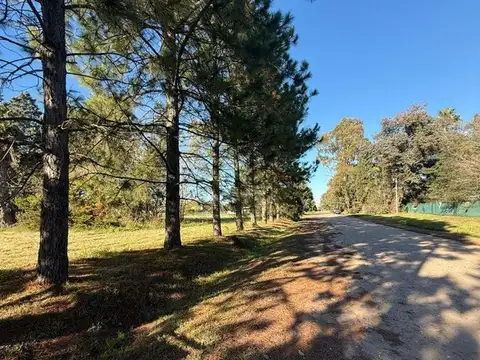 LOTE EN VENTA - ROLDAN