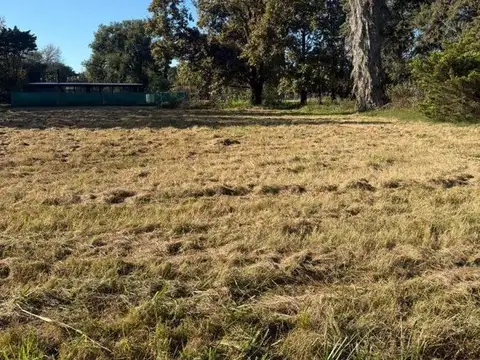 Terreno en Venta 20  mts Frente