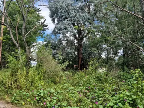 Terreno en Venta en Ascochinga, USD 39.000