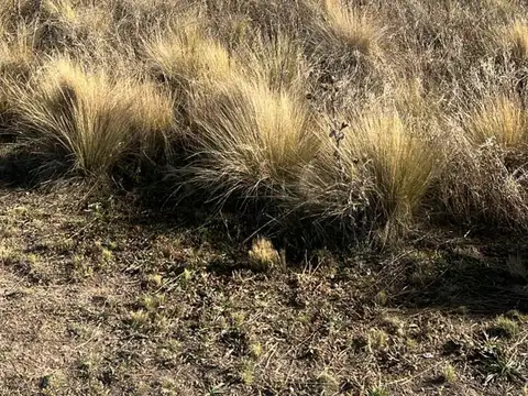 Terreno en Venta de 2200,0 m2