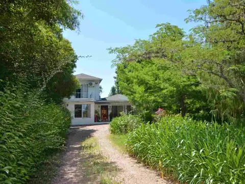 Maestra Olga Kehr 500