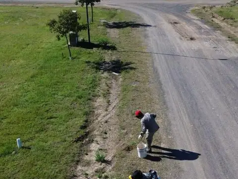Autopista