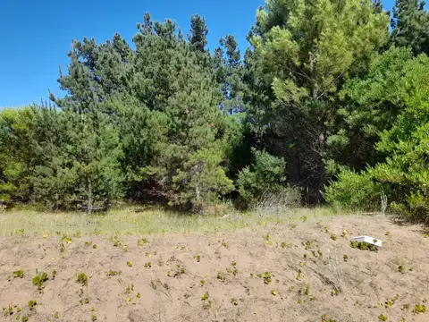 Terreno en Venta 25  mts Frente
