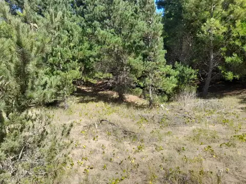 Terreno en Venta 40  mts Fondo