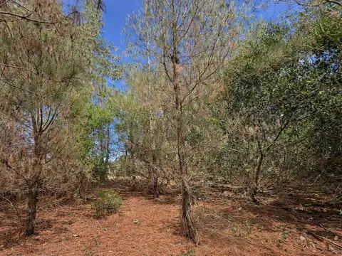 Terreno en Venta de 900,0 m2