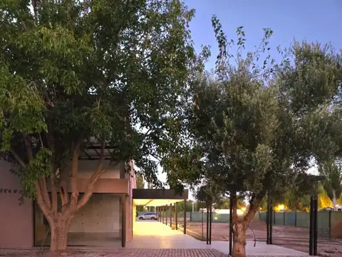 Local en Alquiler en Palacios, USD 210