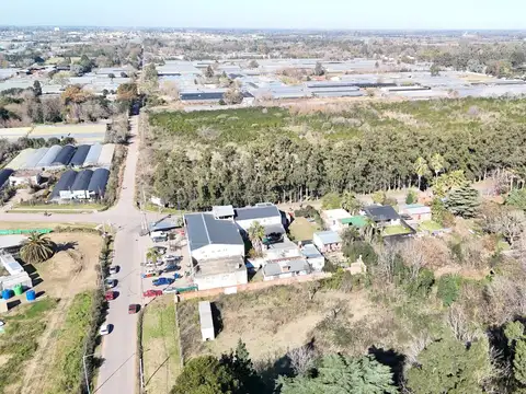 Los Alamos Y Las Araucarias