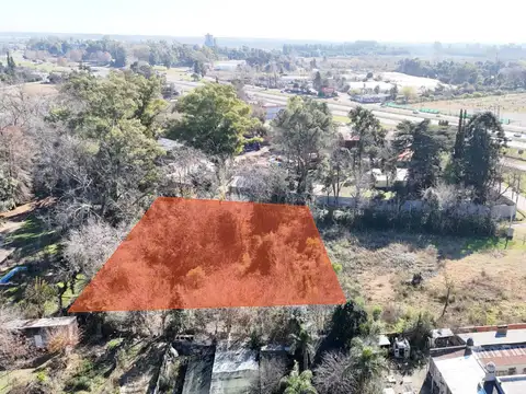 Los Alamos Y Las Araucarias