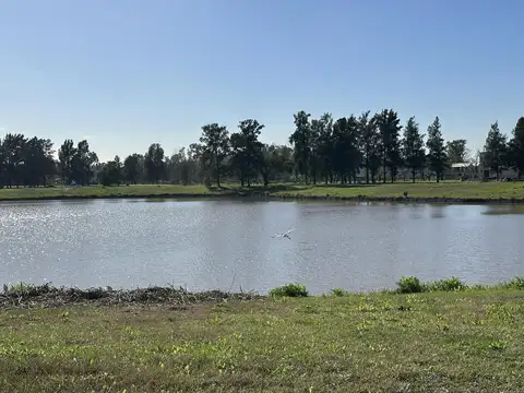 Terreno - Azzurra Tortugas