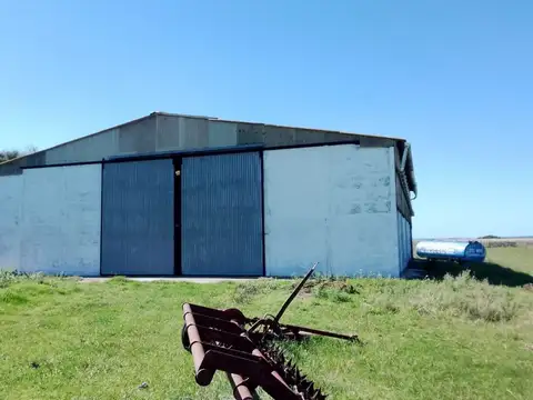 VENTA - CAMPO GANADERO 1.450 HECTÁREAS