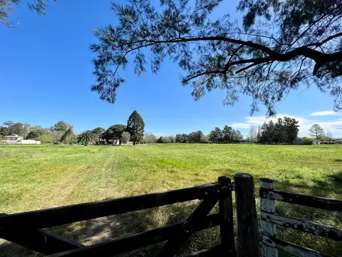 Ricardo Güiraldes 2200