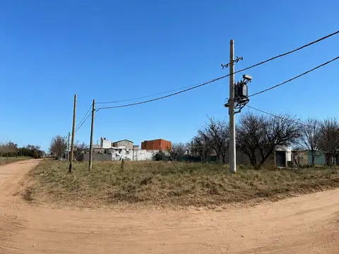 Timoteo "Dino" Saluzzi