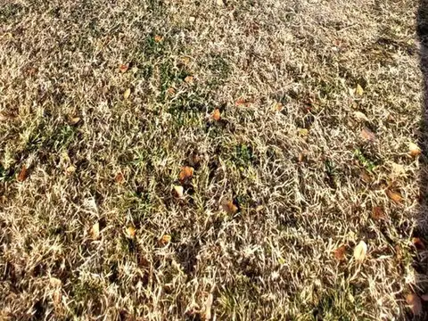 Terreno en Venta de 1324,0 m2