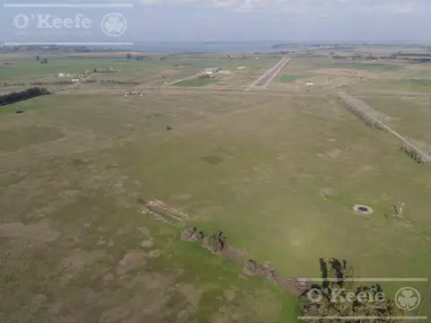 Campo de 104 has en Venta en Chascomús - Apto para Desarrollo