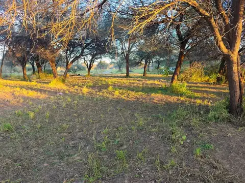 Terreno en Venta de 760,0 m2