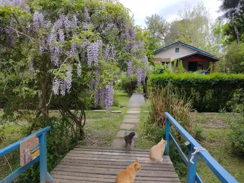 Arroyo Rama negra, hermosa casa Mamina